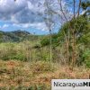 Ocean View Rolling Acres Privacy Arriba Verde Estate