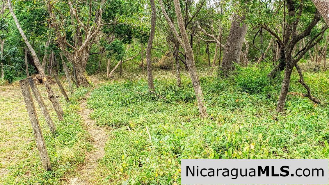 Premium Acre Road to Beaches No Restrictions San Juan del Sur