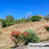 Encanto del Sur Amazing Ocean Views Beautiful Neighborhood