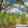 Eco Estate View Property 1.5 Acres Las Fincas de Escamequita