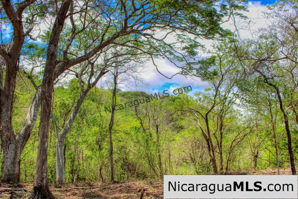 Eco Estate View Property 1.5 Acres Las Fincas de Escamequita