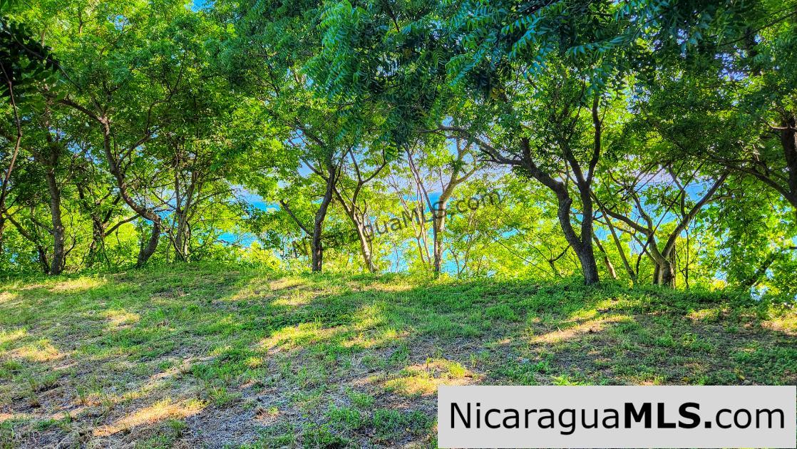 Panoramic Ocean View Pacific Marlin San Juan del Sur