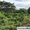Flat Two Manzana Lot with Great Potential in Las Delicias