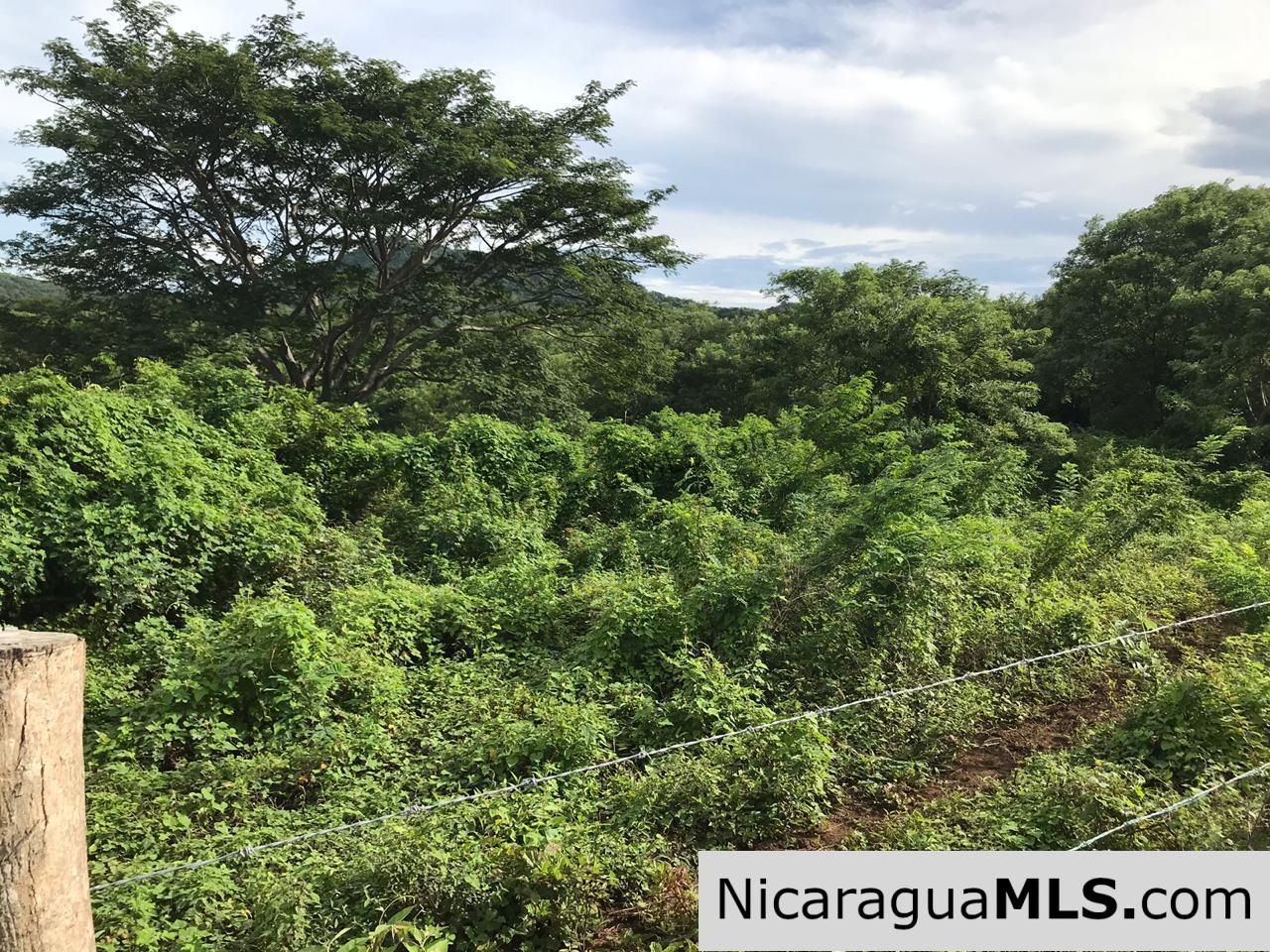 Flat Two Manzana Lot with Great Potential in Las Delicias