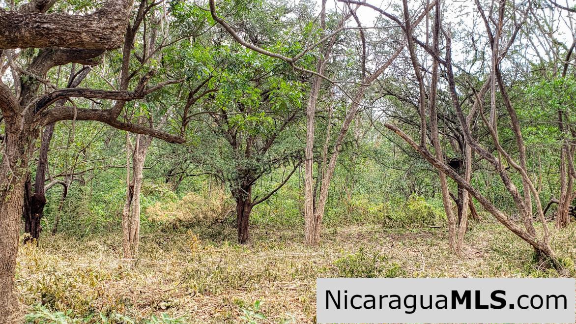 Premium Acre Road to Beaches No Restrictions San Juan del Sur