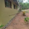 Eco Solar Home