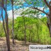 Eco Estate View Property 1.5 Acres Las Fincas de Escamequita