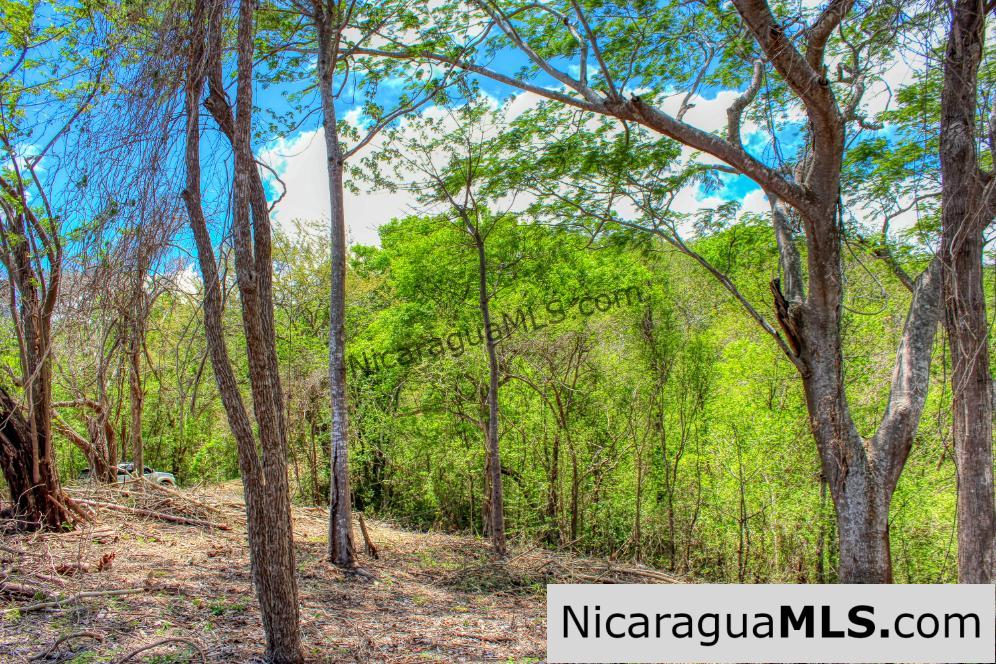 Eco Estate View Property 1.5 Acres Las Fincas de Escamequita