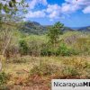 Ocean View Rolling Acres Privacy Arriba Verde Estate