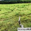 4 Acres in Las Delicias on the Road to Playa Coco