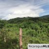 Flat Two Manzana Lot with Great Potential in Las Delicias