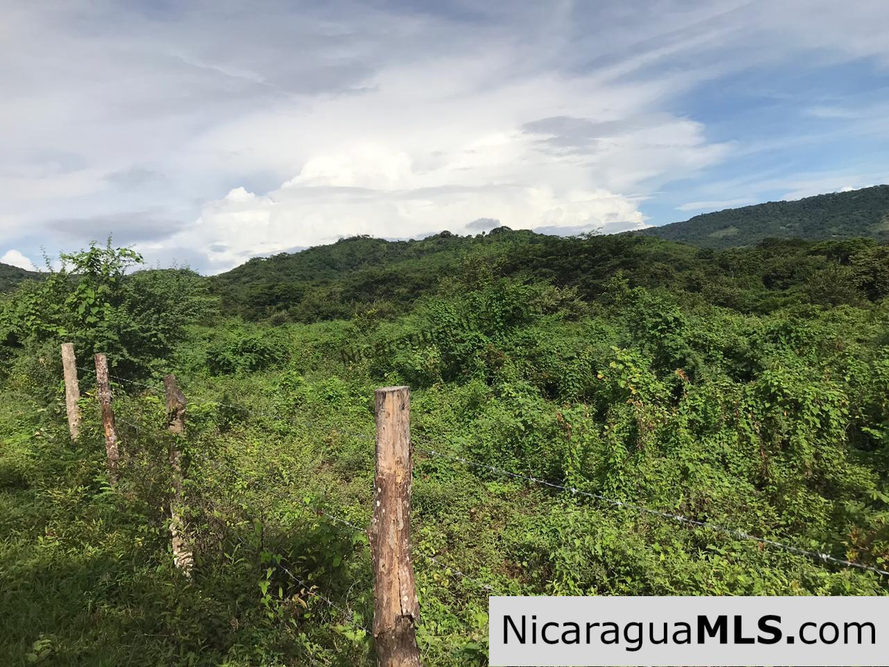 Flat Two Manzana Lot with Great Potential in Las Delicias