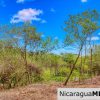 Eco Estate View Property 1.5 Acres Las Fincas de Escamequita