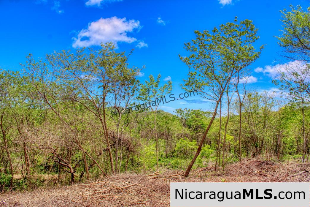 Eco Estate View Property 1.5 Acres Las Fincas de Escamequita