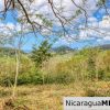 Ocean View Rolling Acres Privacy Arriba Verde Estate