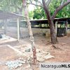 Eco Solar Home