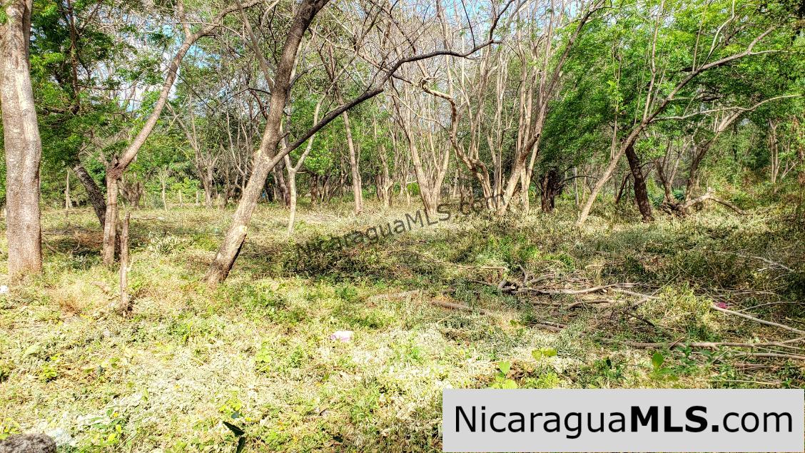 Premium Acre Road to Beaches No Restrictions San Juan del Sur