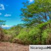 Eco Estate View Property 1.5 Acres Las Fincas de Escamequita