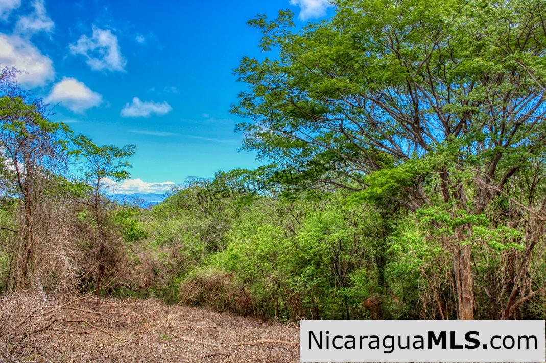 Eco Estate View Property 1.5 Acres Las Fincas de Escamequita