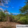 Eco Estate View Property 1.5 Acres Las Fincas de Escamequita