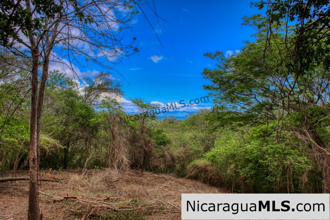 Eco Estate View Property 1.5 Acres Las Fincas de Escamequita