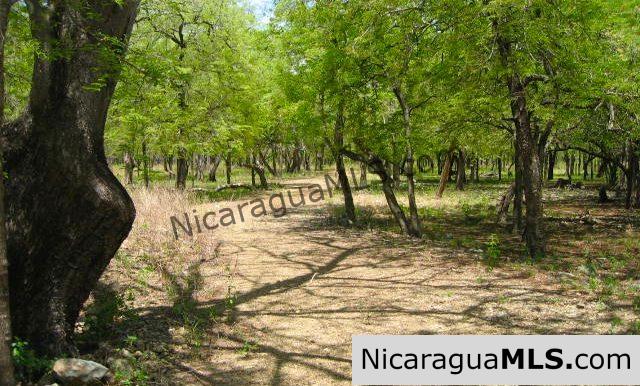 The Largest Beachfront Property in All of Tola Playa Icacal.