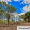 Eco Estate View Property 1.5 Acres Las Fincas de Escamequita