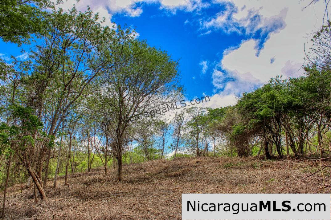 Eco Estate View Property 1.5 Acres Las Fincas de Escamequita