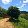 El Encanto del Sur Lot 7