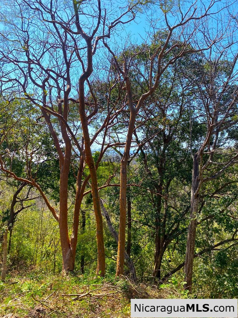 Vista Cinco Bahias lot 10 at Playa Maderas, north of San Juan del Sur