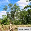 Peaceful Private Ocean View Lot San Juan del Sur