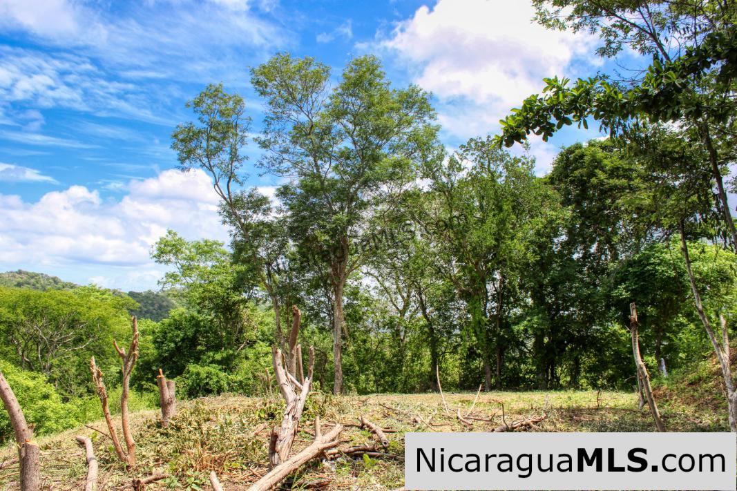 Peaceful Private Ocean View Lot San Juan del Sur