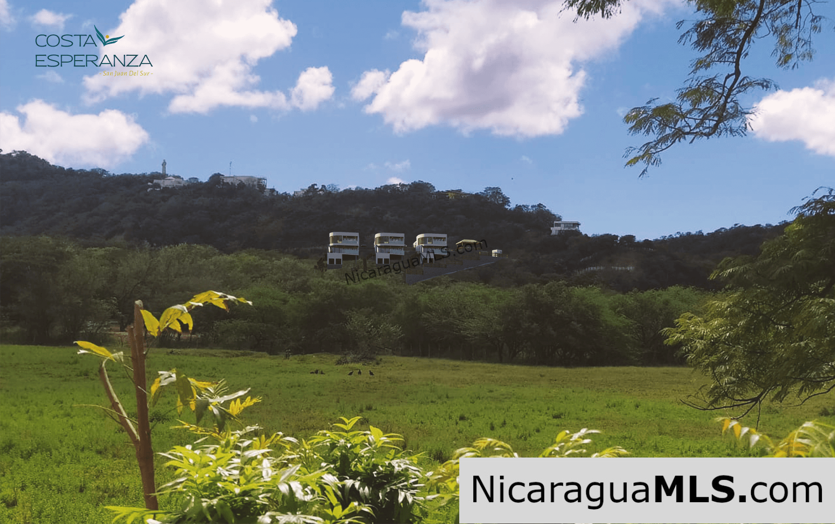 Costa Esperanza a Luxury Development within Pacific Marlin