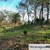 1.5 acres Nestled in Nature SJDS Financing Available