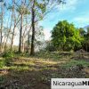 1.5 acres Nestled in Nature SJDS Financing Available