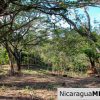 1.5 acres Nestled in Nature SJDS Financing Available
