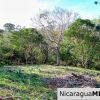 1.5 acres Nestled in Nature SJDS Financing Available