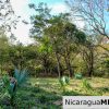 1.5 acres Nestled in Nature SJDS Financing Available