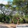 1.5 acres Nestled in Nature SJDS Financing Available
