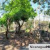 1.5 acres Nestled in Nature SJDS Financing Available