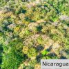 1.5 acres Nestled in Nature SJDS Financing Available