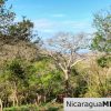 1.5 acres Nestled in Nature SJDS Financing Available