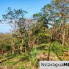 1.5 acres Nestled in Nature SJDS Financing Available