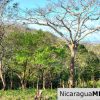 1.5 acres Nestled in Nature SJDS Financing Available
