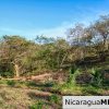 1.5 acres Nestled in Nature SJDS Financing Available