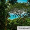 Lots available in Guacalito de la Isla, In Reserve I. Tola-Nicaragua
