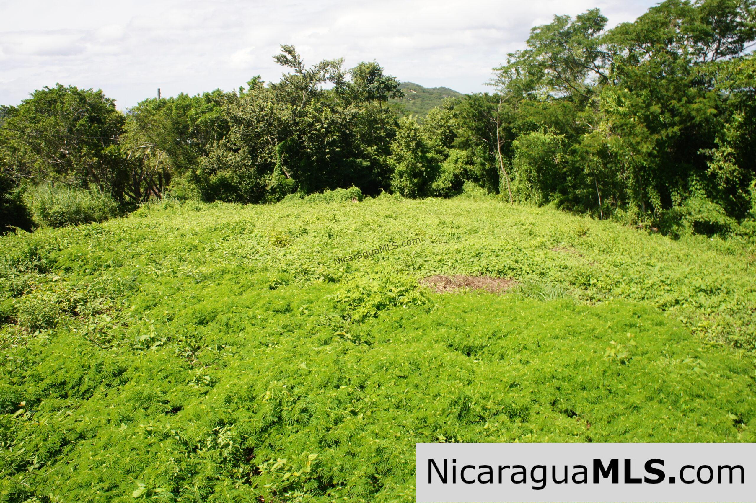 Fantastic Affordable Ocean View Lot