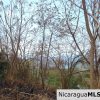 Rancho Papayal Lots Near TreeCasa San Juan Del Sur