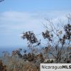 Rancho Papayal Lots Near TreeCasa San Juan Del Sur