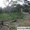 Side by Side Corner Lots Available in Bosque del Mar